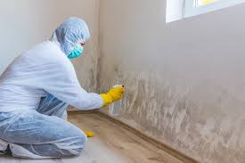 Why You Should Choose Our Mold Remediation Services in West Dennis, MA